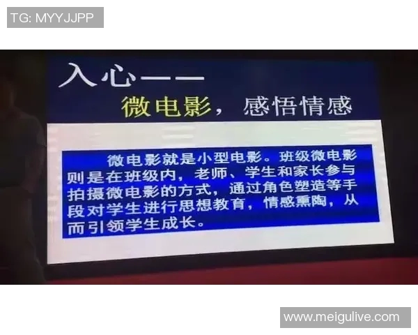 深圳排球队转型之路的真实记录与发展探索